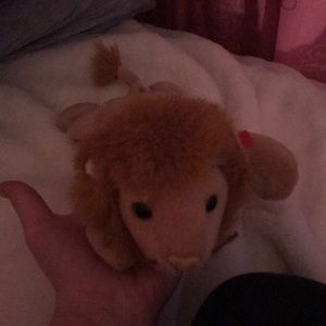 A stuffed animal lion